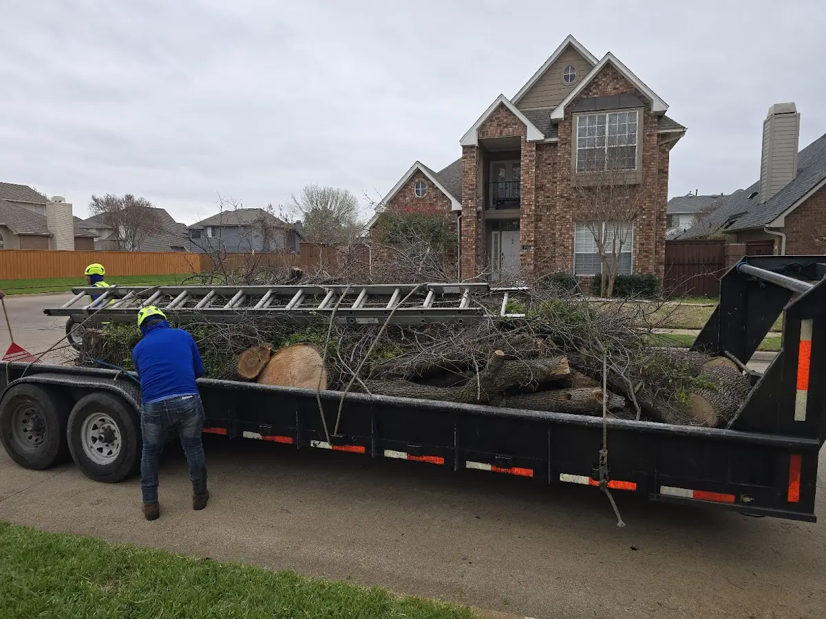 Expert Lot Clearing with proper safety equipment in Zamora
